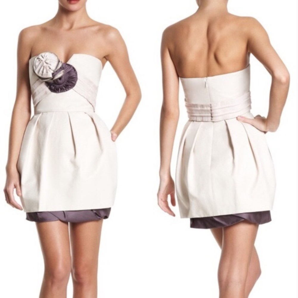 Bcbg Maxazria Runway collection mini dress